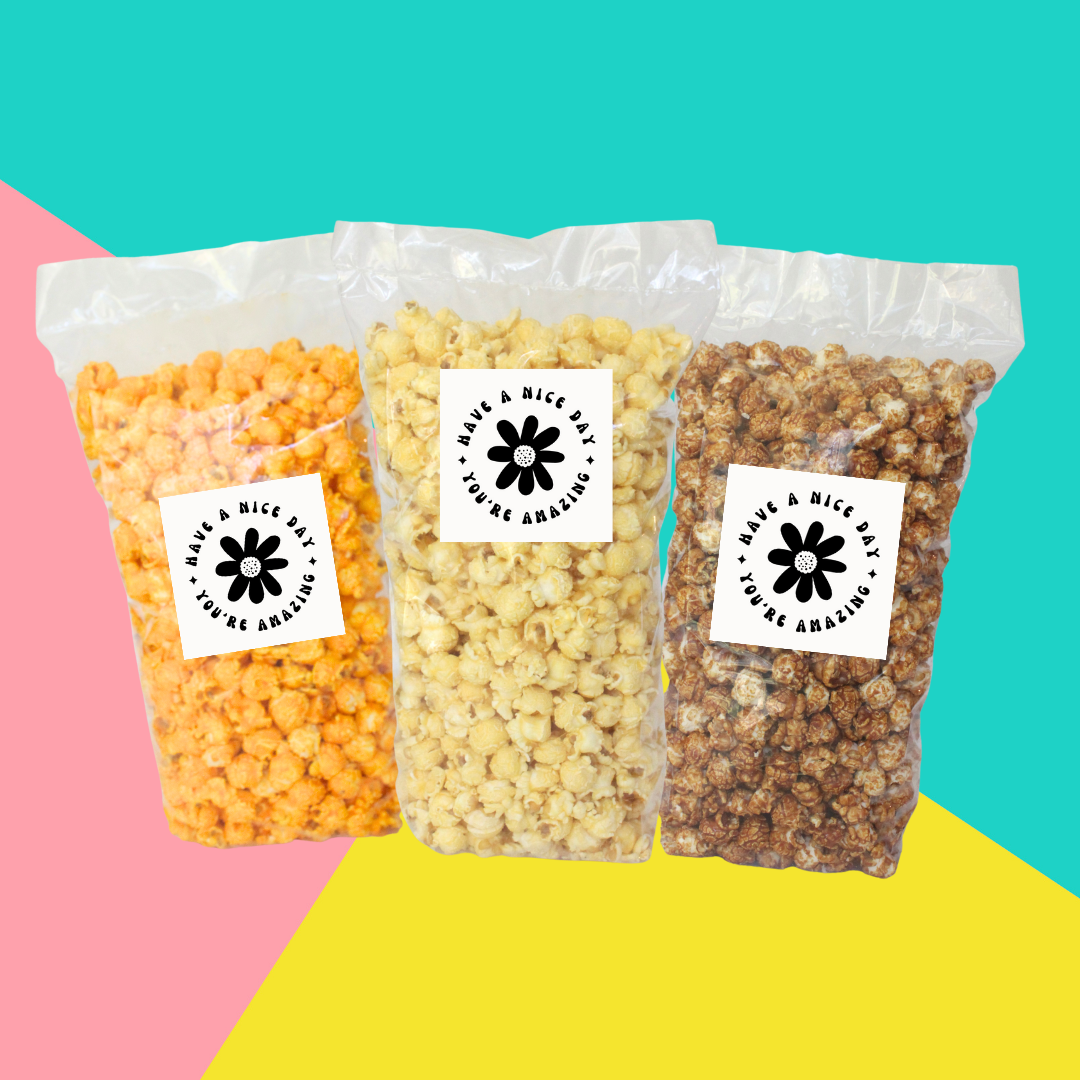 "You are Amazing" Large Bag Encouragement Popcorn